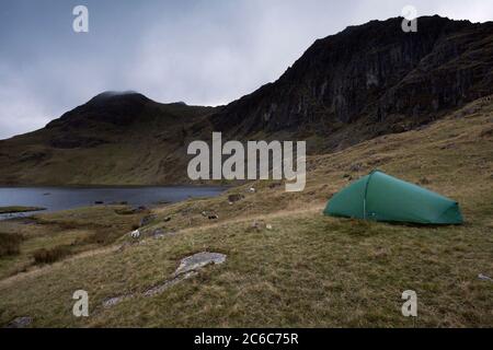 Wildes Campen an Stickle Tarn in der langdale Fells, des englischen Lake District Stockfoto