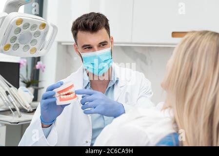 Zahnarzt hält Kiefer Proben Zahn. Professionelle Beratung in der Zahnklinik Stockfoto