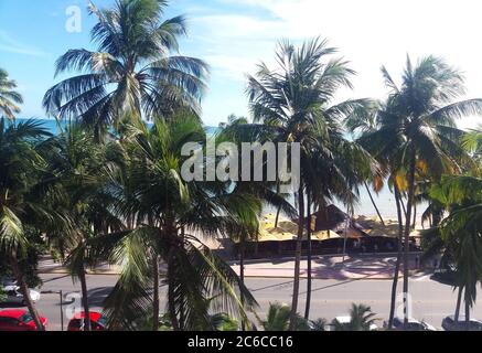 12/26/2017 - Maceió, Alagoas, Brasilien - Panoramafoto des Strandes von Jatiúca über Kokospalmen Stockfoto