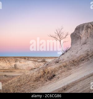 Winterdämmerung über Prärie und Badlands im Pawnee National Grassland mit einem einsamen Baum Stockfoto