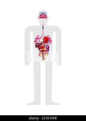 Metall menschliche Anatomie Organe. Künstliches Organ. Zukunft der Kybernetik. Robotersysteme des menschlichen Körpers. Roboter interne Organe. Eisen Cyborg Speiseröhre Organe sy Stock Vektor