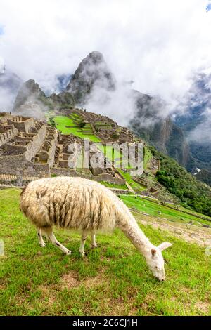 Machu Picchu, ein peruanisches historisches Heiligtum und UNESCO-Weltkulturerbe. Eines der Neuen Sieben Weltwunder. Cuzco. Stockfoto