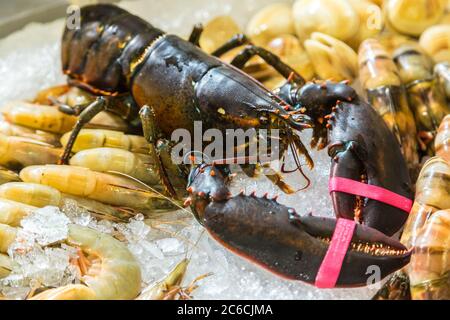 Roher Hummer liegt in einem Laden auf Eis Stockfoto