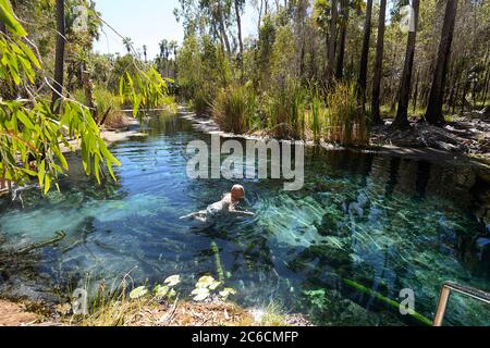 Schwimmen in den beliebten Thermalquellen von Bitter Springs, Elsey National Park, in der Nähe von Mataranka, Northern Territory, NT, Australien Stockfoto