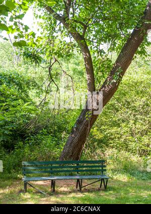 Eine hölzerne Parkbank in Frick Park an einem sonnigen Sommertag, Pittsburgh, Pennsylvania, USA Stockfoto