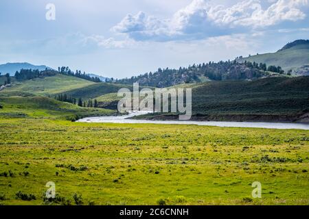 Einen schönen Blick auf den Blick auf die Natur im Yellowstone Nationalpark, Wyoming Stockfoto