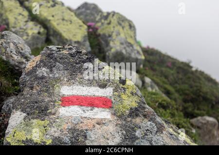Markierung der touristischen Route auf Steinen in rot und weiß gemalt. Wegweiser in den Karpaten Stockfoto