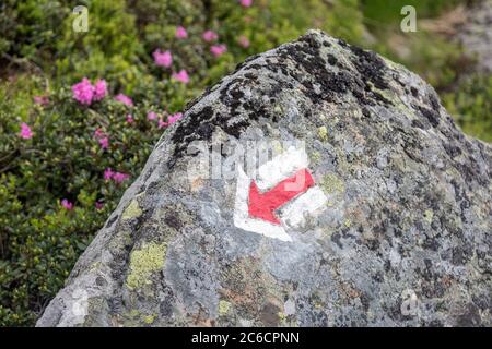 Roter Pfeil markiert eine touristische Wanderung auf einem Felsen. Reise Outdoor-Konzept Stockfoto