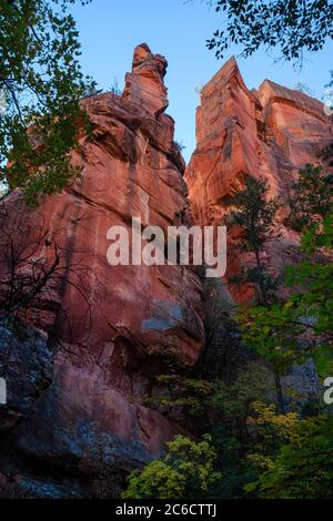 Steile rote Sandsteinklippen entlang der West Fork von Oak Creek, in der Nähe von Sedona, Arizona. Stockfoto