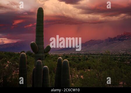 Ein Monsunregen löst sich auf den Bergen von Santa Catalina während des Sonnenuntergangs. Oro Valley, Arizona. Stockfoto