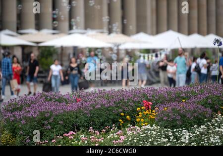 Stuttgart, Deutschland. Juli 2020. Blumen blühen auf dem Schlossplatz, im Hintergrund sind Passanten vor dem Königsbau zu sehen. Die neue Initiative "nur eine pulsierende Stadt ist eine sichere Stadt - und wir gestalten das Leben in dieser Stadt! (Zu dpa 'PK der neuen Initiative 'nur eine lebendige Stadt ist eine sichere Stadt - und wir gestalten das Leben in dieser Stadt!') Quelle: Marijan Murat/dpa/Alamy Live News Stockfoto