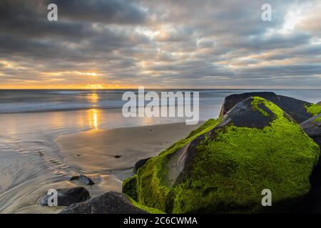 Die untergehende Sonne erhellt moosige Felsbrocken am Strand von Carlsbad, CA. Stockfoto