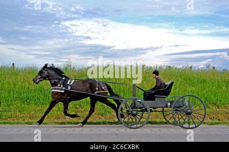 Amish Teen reitet einen Pferdewagen entlang des highway 30 im Süden von kentucky usa Stockfoto