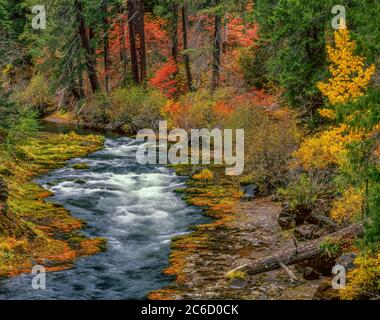 Takelma Gorge, Rogue River, Rogue River National Wild and Scenic River, Oregon, Rogue River National Forest, Oregon Stockfoto