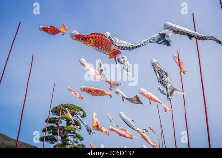 Japanische Karpfen Drachen, Dekoration am Tag des Kindes Stockfoto