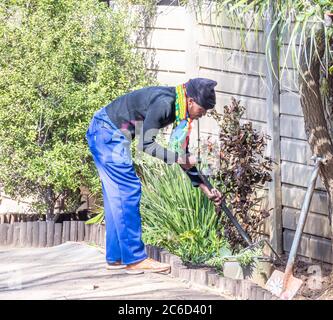 Alberton, Südafrika - nicht identifizierter schwarzer Mann arbeitet in einem Wohngarten, um seinen Lebensunterhalt zu verdienen Stockfoto