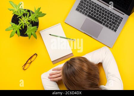 Müde junge Arbeiterin legte ihren Kopf auf den Schreibtisch. Burnout-Konzept für Büromitarbeiter. Arbeiten von der Startseite aus, Banner in der Draufsicht Stockfoto