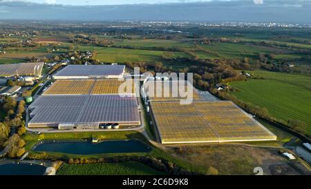 La Chapelle-des-Fougeretz (Bretagne, Nordwestfrankreich): Luftaufnahme von Tomwest Tomatenhäusern, Jouno Tomaten, ein 17 Hektar großes Grundstück an einem Ort ca. Stockfoto