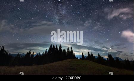 Herrlicher Panoramablick auf den Nachthimmel über grasbewachsenen Hügel in Nadelwald. Fantastische Landschaft von Bergwald mit hohen Nadelbäumen unter majestätischen blauen Himmel mit Sternen. Konzept der Natur. Stockfoto
