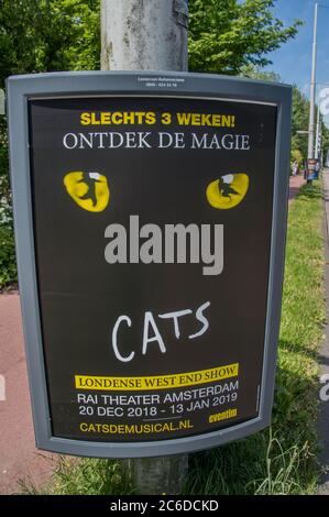 Plakatwand Der Musical Cats In Amsterdam, Niederlande 2018 Stockfoto