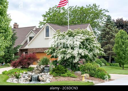 Chinesischer Blumen-Hartriegel, Cornus kousa var. chinensis, Chinese Dogwood, Cornus kousa var. Chinensis Stockfoto