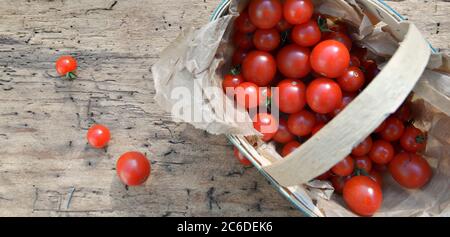 Kirschtomaten geerntet und auf einen kleinen Korb auf Holztisch gelegt Stockfoto