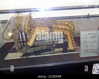 Dieser sowjetische hochgelegene Hundedruckanzug wurde 1959 für das Vostok-Programm für Forschungsflüge entwickelt. Auf dem Display im National Space Centre, Leicester, Großbritannien. Stockfoto