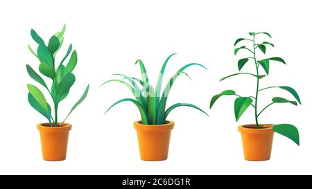 Vektor-Set Zimmerpflanze chlorophytum und Ficus in Topf, realistische Baum Vorderansicht. 3D-Illustration grün von Innenanlage isoliert auf weißem Hintergrund Stock Vektor
