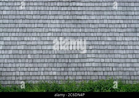 Schindelholz gealterten Holzhintergrund. Verwitterte Shakes, schöne farbige Textur. Stockfoto