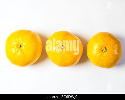 Drei Satsumas in einer Reihe isoliert auf weißem Hintergrund mit Kopierraum Stockfoto