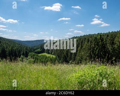 Blick über das Erholungsgebiet Thüringer Wald Stockfoto