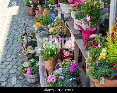 Blumengeschäft Blumenladen in der Stadt Stockfoto