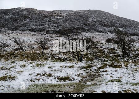 Der Slemish Mountain in der Grafschaft Antrim, Nordirland, ist mit einer leichten Schneedecke überdeckt Stockfoto