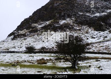 Eine kalte, verwüstte Szene, in der Schnee leicht verstaubt wird, der über den Slemish Mountain in Co. Antrim, Nordirland, zieht Stockfoto