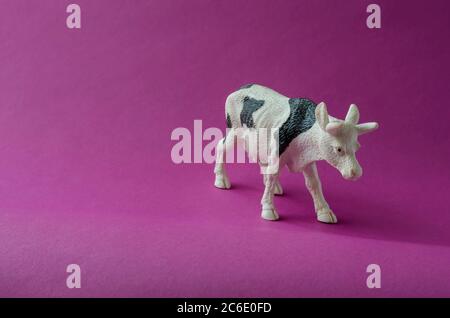 Figur der weißen Kuh mit schwarzen Flecken auf lila Hintergrund. Landwirtschaftliche Produkte, Nutztierkonzept. Speicherplatz kopieren. Draufsicht in einem Winkel. Selektiver Fokus. Stockfoto