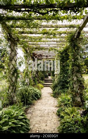 100 Meter lange Pergola in den West Dean Gardens bei Chichester in East Sussex Stockfoto