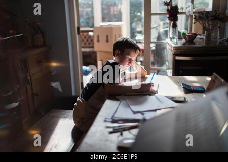 Boy Hausaufgaben am Esstisch Stockfoto