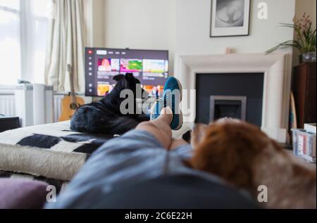 POV Mann und Hunde entspannen und Fernsehen im Wohnzimmer Stockfoto