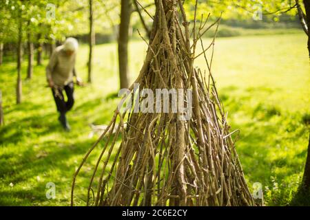 Ältere Frau sammelt Zweige für Tipi im Wald Stockfoto