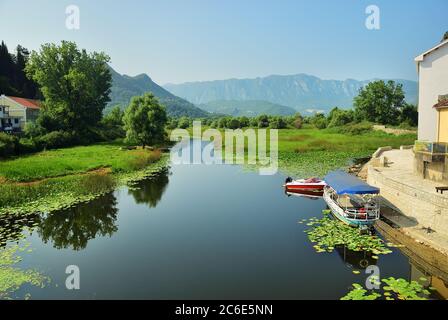 Schöne Aussicht auf den Skadarsee in Montenegro. Landschaft der Landschaft, See und Berge im Hintergrund showen bei Sonnenaufgang Stockfoto