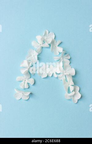 Blumenalphabet - A. Buchstabe aus lebenden Blumen auf hellblauem Hintergrund Stockfoto