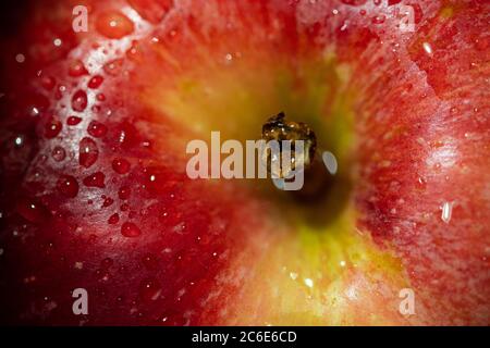 Roter und saftiger Apfel mit Wassertropfen Makro abstrakter Hintergrund Stockfoto