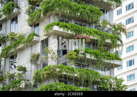 Ökologische Gebäude Fassade mit grünen Pflanzen und Blumen auf der Steinmauer der Fassade des Hauses auf der Straße von Danang Stadt in Vietnam Stockfoto