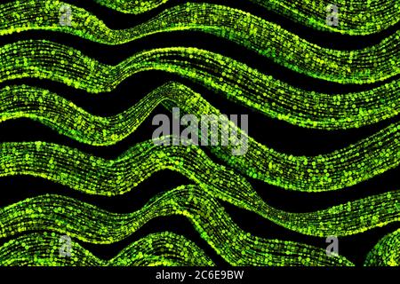 Abstrakter Hintergrund voller glühender grüner Wellenlinien, die aus Partikeln bestehen, die auf einem schwarzen Raum fliegen. Overlay-Schicht für Ihr Design Stockfoto