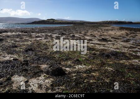 Bei Ebbe werden Algen, Felsen und Sand an einem leeren Strand mit Blick über Loch Dunvegan auf die Duirinish Halbinsel gegenüber, Isle of Skye, entdeckt. Stockfoto