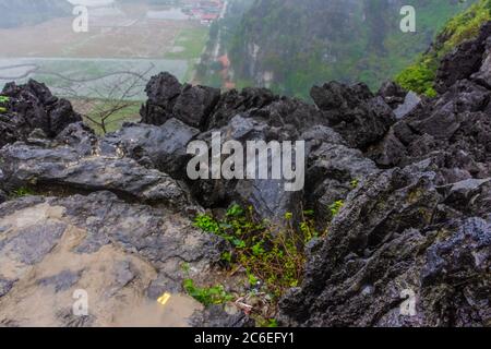 Landschaft von Tam CoC bei starkem Regen, Vietnam Stockfoto