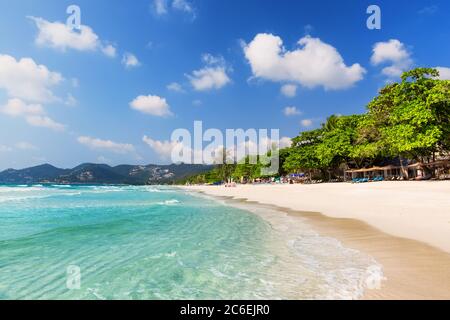 Schöner weißer Sandstrand in Koh Samui, Thailand. Urlaub Urlaub Urlaub Hintergrund Wallpaper. Blick auf den schönen tropischen Strand mit grünen Palmen. Stockfoto