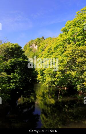 Frühlingsansicht des Flusses Derwent und Riber Castle in der Marktstadt Matlock, Peak District National Park, Derbyshire Dales, England, Großbritannien Stockfoto