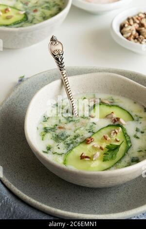 Sommer erfrischende kalte Joghurtsuppe, gesunde Mahlzeit mit frischem rohem Gemüse und Milchzutaten Stockfoto