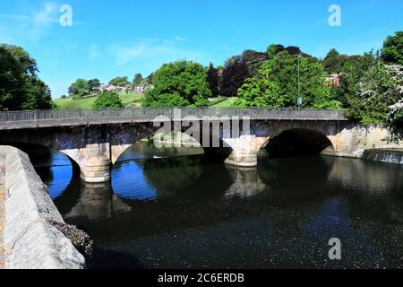 Frühlingsansicht der Belper Brücke und Wehr, Fluss Derwent, Belper Stadt, Amber Valley, Derbyshire Dales, England, Großbritannien Stockfoto